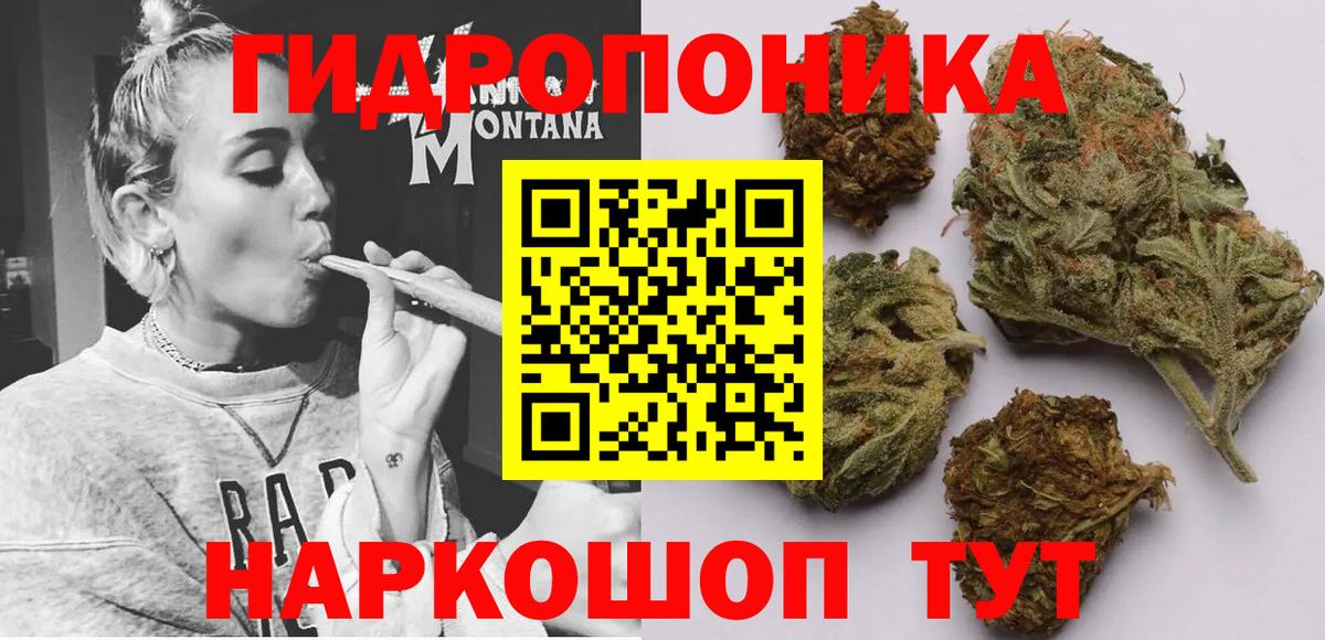 Конопля ГИДРОПОН Прохладный